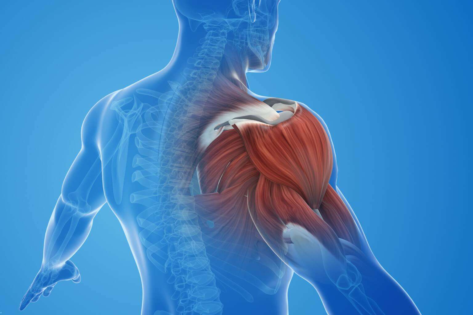 how do i relieve muscle pain